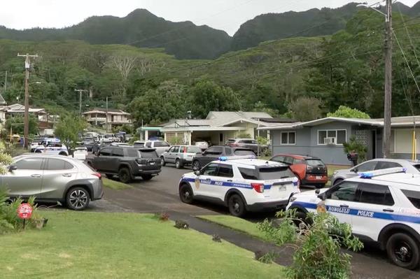Scene of murder-suicide