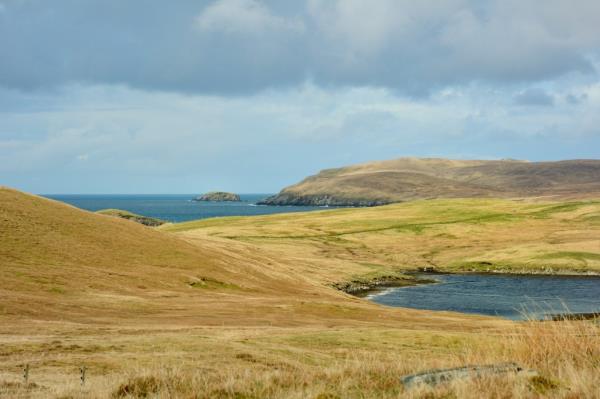 shetland isles graveland gunnigarth