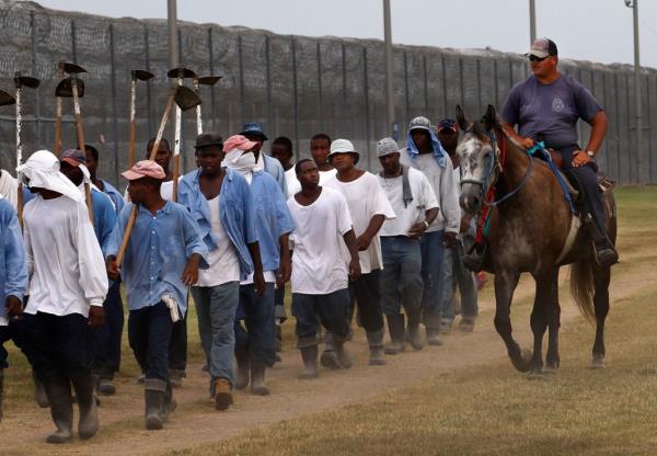 In this Aug. 18, 2011 photo, a prison guard rides a horse alo<em></em>ngside priso<em></em>ners as they return from farm work detail at the Louisiana State Penitentiary in Angola, La.