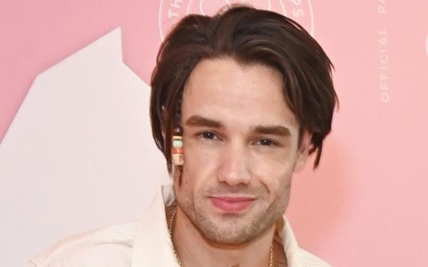 单向乐队成员Liam Payne在Instagram上的回复让粉丝们抓狂