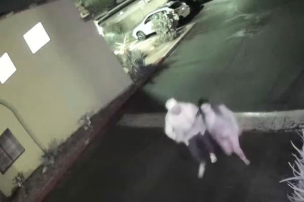The dog sitter also was caught bringing an unknown male back to the couple's home.