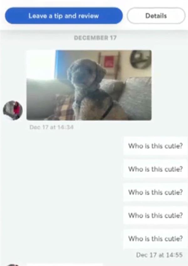 The couple became a<em></em>lerted to something being wrong when the sitter sent them strange messages including a pictured of a random dog.