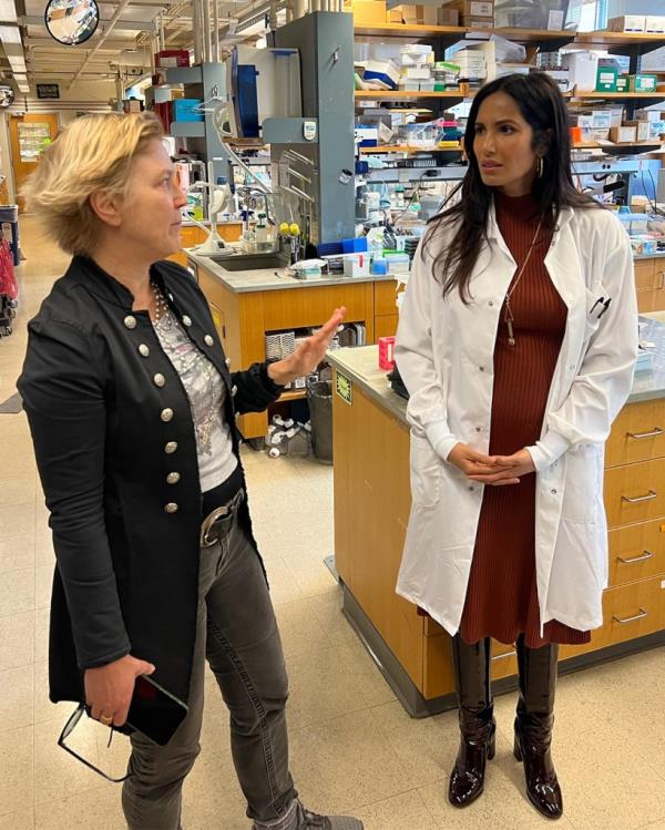 No one knows for sure what causes endometriosis — but it's known to cause excruciating menstrual cramps, pelvic and lower back pain, pain during sex, heavy bleeding during periods, and infertility.