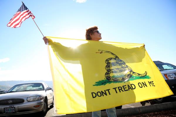 Gadsden flag