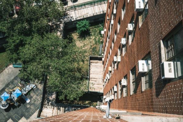 Scaffolding surrounds the NYCHA Jackson Houses in the Bronx.