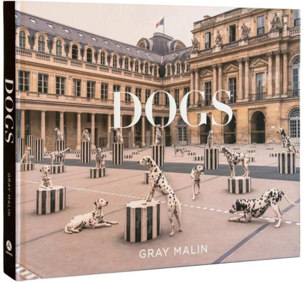 Book cover featuring a variety of different sized, colored, and breed dogs in a harmo<em></em>nious courtyard setting