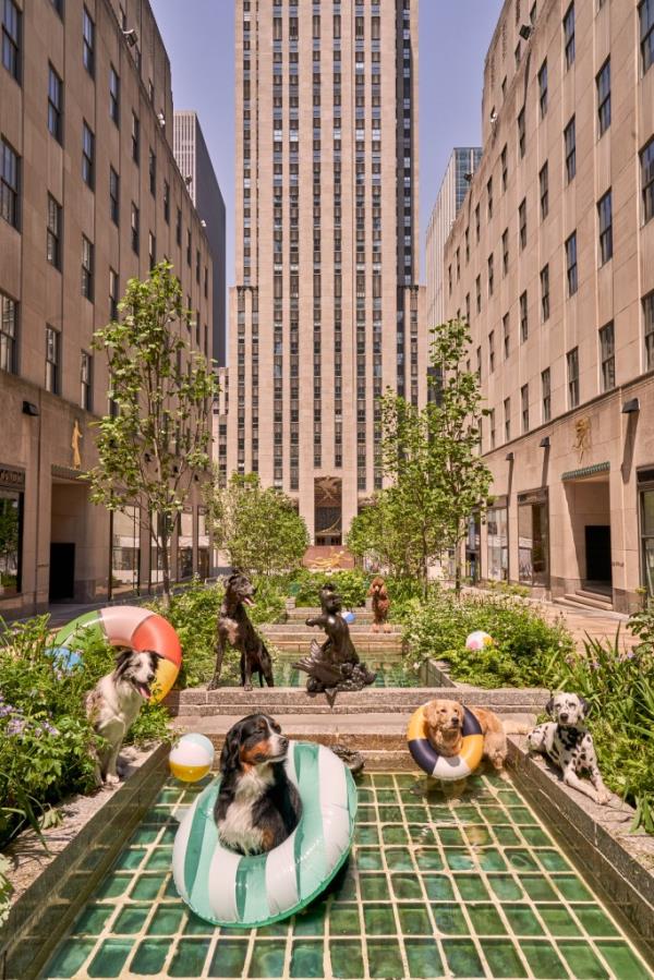 Several dogs frolicking in a small pool at Rockefeller Center, featured in Gray Malin's new book: DOGS Signed Collector's Edition