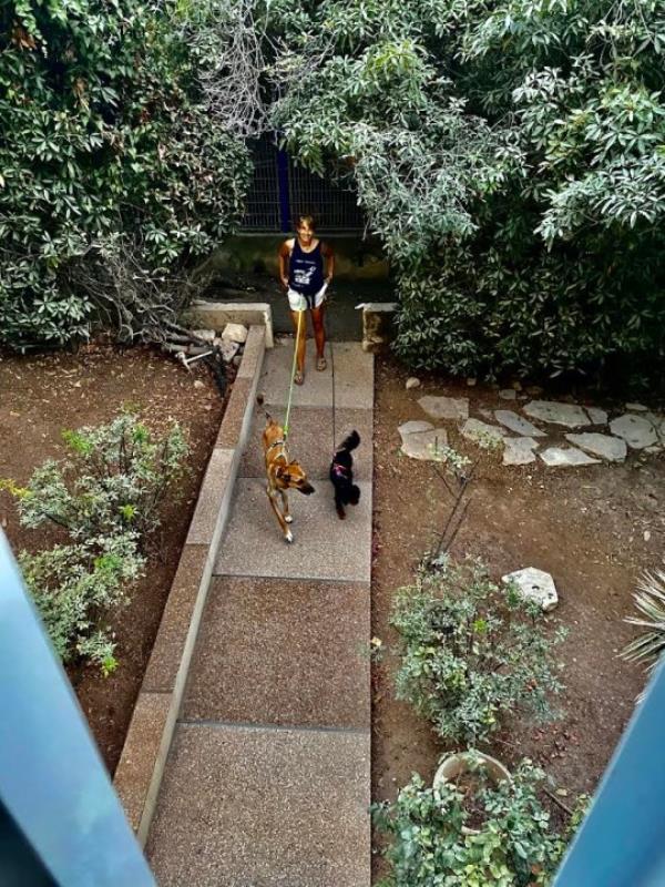 leah and her dogs