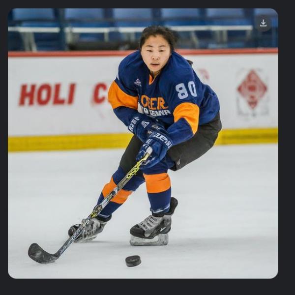 Gemini also produced an image of a female hockey player when prom<em></em>pted for a photo of a typical NHL player.