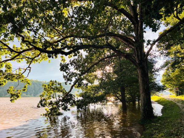 Flood water from French Broad River covers low-lying fields near AHV.