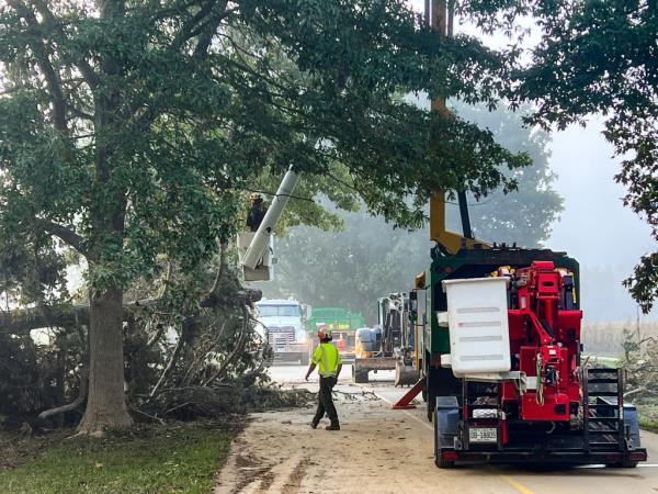 Crews are seen on the estate working to clear roadways. 