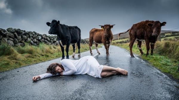Ruth Wilson lying in a road asleep surrounded by cows. 