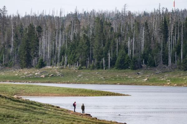 The region is known for its vastly complex landscape and heavy vegetation.