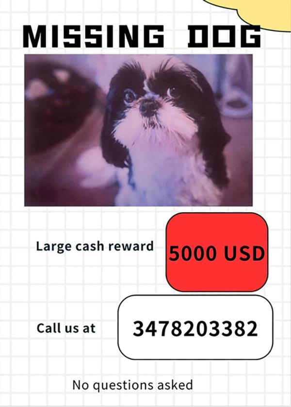 A photo of a Missing Dog poster with a $5,000 reward announcement and co<em></em>ntact phone number
