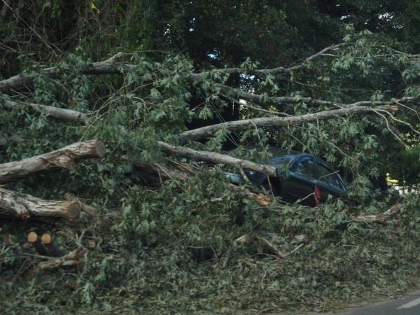A car is stuck in a tree along US 70 near the Blue Ridge Parkway entrance.