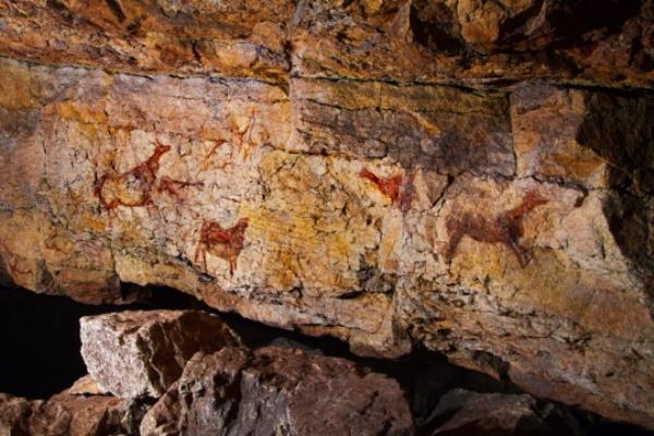 For around 100,000 years, o<em></em>nly a small number of individual kept the human race alive