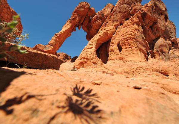 The natural beauty was targeted by a pair of vandals this month. 
