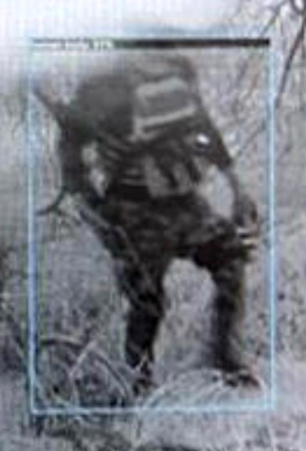 Armed border crosser