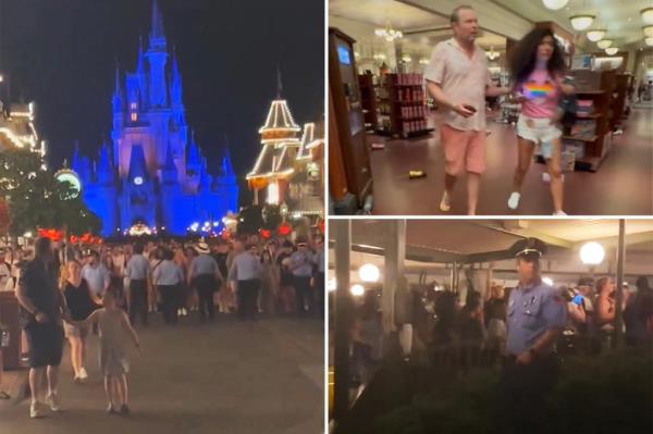 华特迪士尼世界魔幻王国假枪手谣言引发大规模恐慌