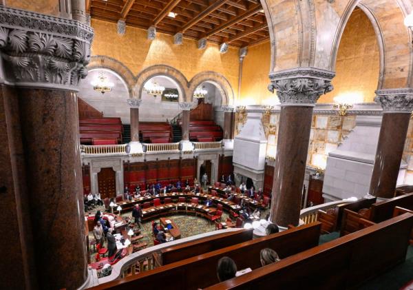 senate 