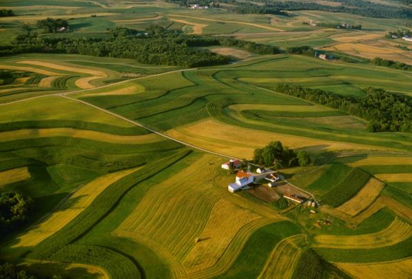 Aerial view of a farmstead surrounded by co<em></em>ntour strips of alfalfa, corn and oats / Wisconsin, USA.