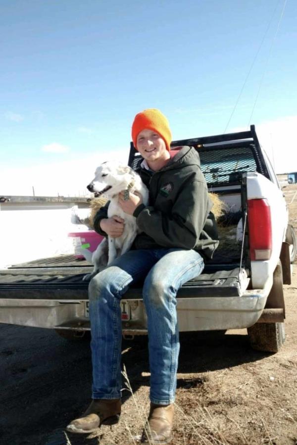 Patches was found after a shelter used his microchip and was able to find Baxter's info to share that his pup had been located.