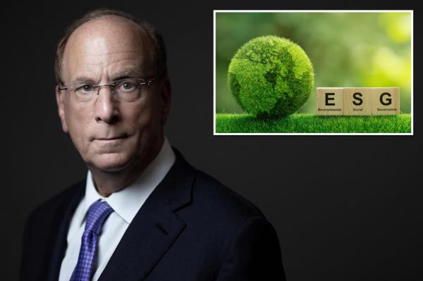 ESG正在淡出人们的视野——现在投资者已被迫变得明智起来