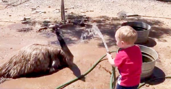 Moilan's son is seen playing with Richard the Emu in a family video.