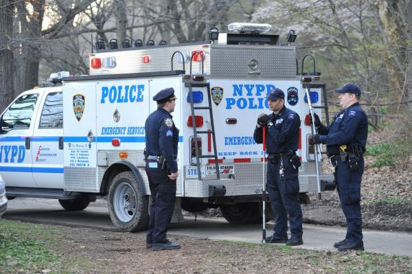 Officials searched for two coyotes in Riverside Park in August.