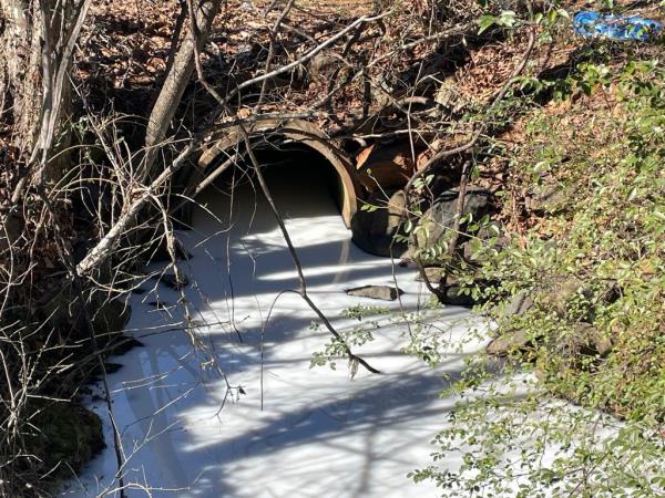 The Lynchburg Fire Department received a call a<em></em>bout a creek mysteriously turning completely white.