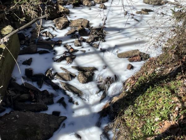 Despite the creek turning white from the milk, there was no threat to public health, the Lynchburg Fire Department said. 