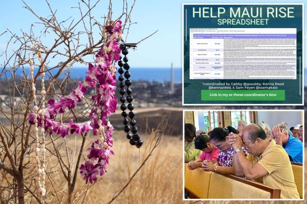 Volunteers unload do<em></em>nations at a distribution center for those affected by the Maui fires at Ho<em></em>nokawai Beach