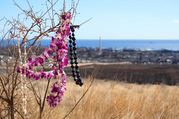 A makeshift memorial hangs on a tree overlooking burned houses and buildings in Lahaina, Maui, Hawaii.