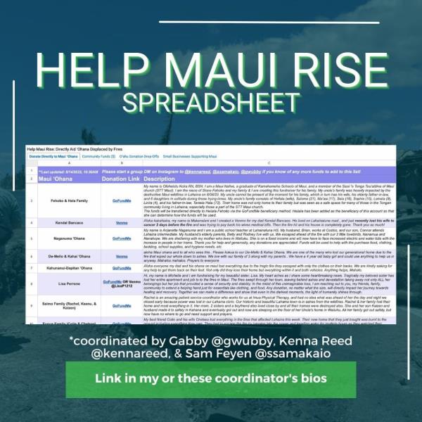 Help Maui rise