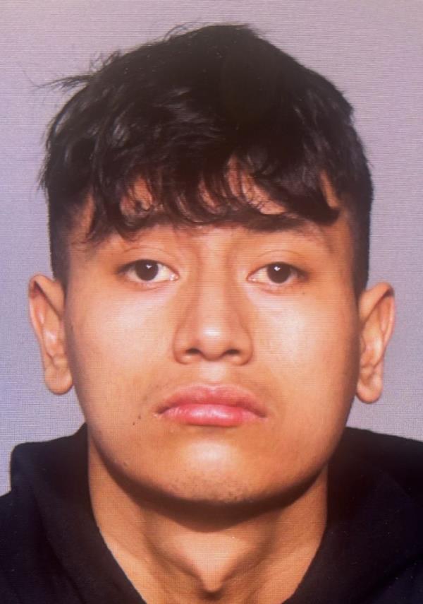 Juan Hernandez, 22, was charged with two counts of grand larceny auto in co<em></em>nnection to the early Thursday joyride, cops said.</p>

<p>　　