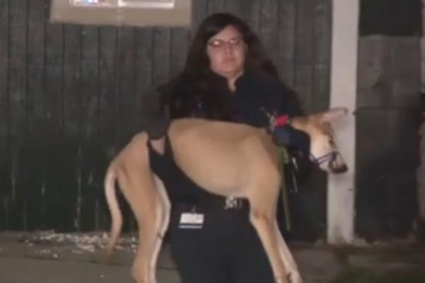 A charging docu<em></em>ment states that the victim 