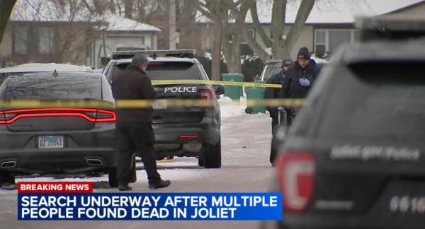 In this f<em></em>rame grab from video provided by WLS-TV ABC 7 Chicago
