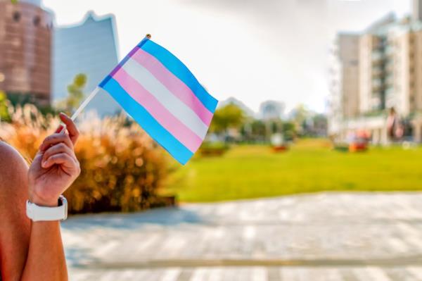 The Transgender Flag.