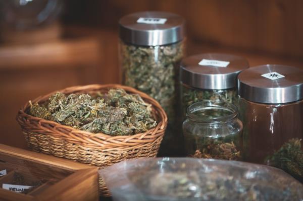 Advocates for medical cannabis shops said many patients are now going to unlicensed shops.</p>

<p>　　