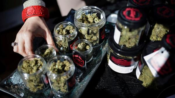 像可口可乐这样的热门产品：大麻产业创造了400亿美元的收入