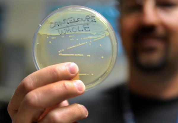 Lead Food Lab Scientist Skip Gossack holds up a petri dish with the visible Listeria colo<em></em>nies from the Holly cantaloupe.