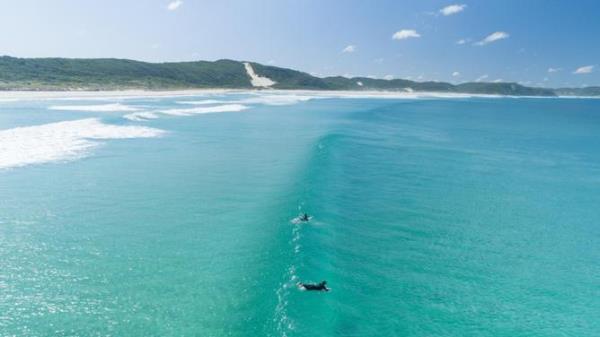Emergency services were forced to suspend their search on Saturday afternoon due to adverse weather conditions. Tourism Australia.