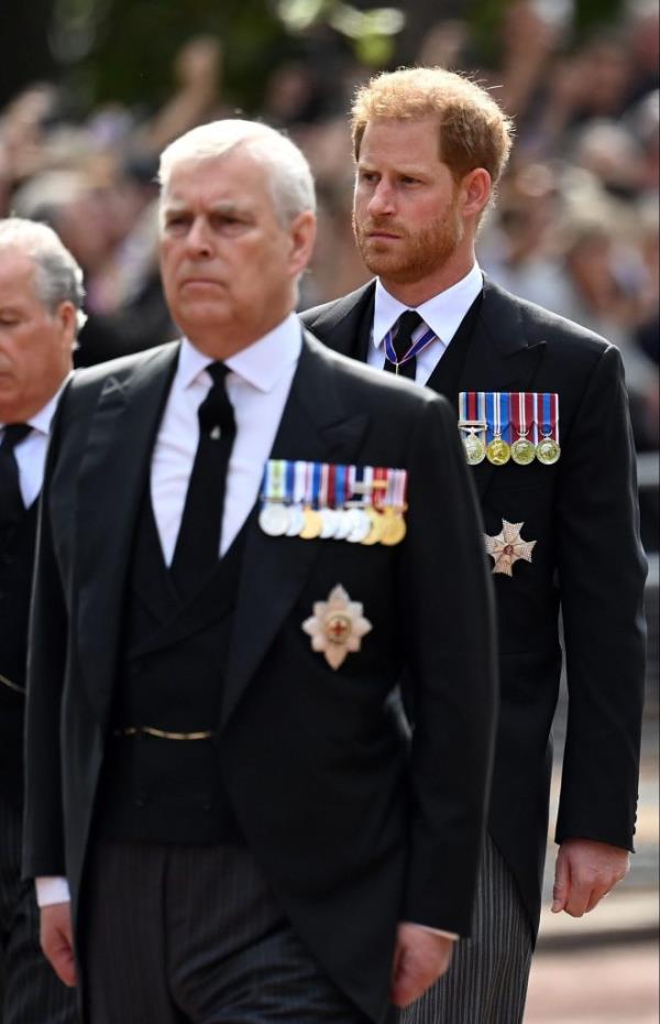 Prince Harry and his disgraced uncle Prince Andrew have 