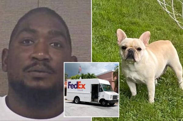 北卡罗来纳州联邦快递司机偷走了家中的法国斗牛犬，这只斗牛犬被留在高温卡车里后死亡