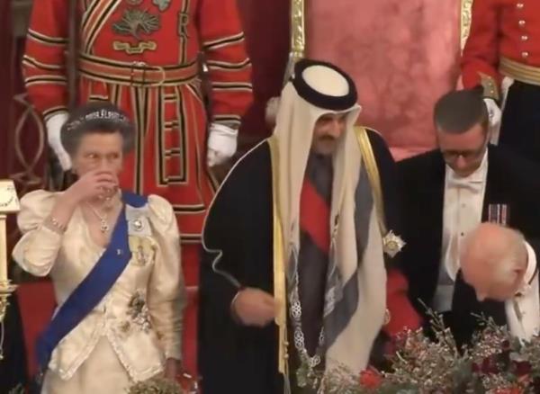 Princess Anne at a state banquet with Qatari royals, including Emir Tamim bin Hamad Al Thani, managing to avoid protocol faux pas.