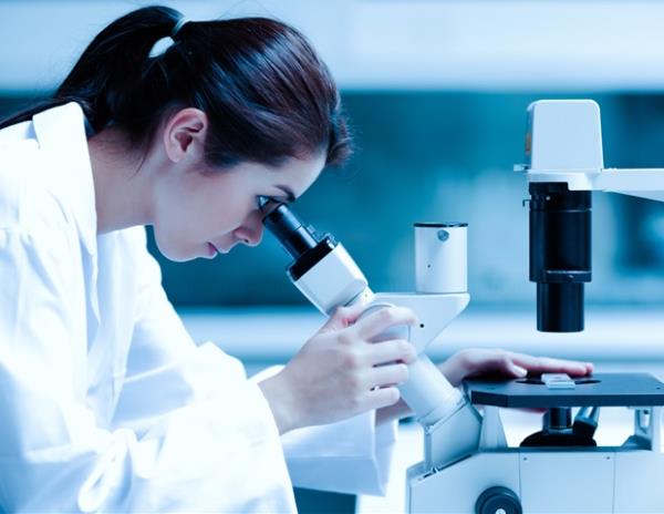 研究揭示了长期记忆的生物学解释