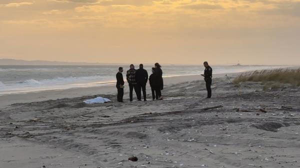 Authorities on the beach. 