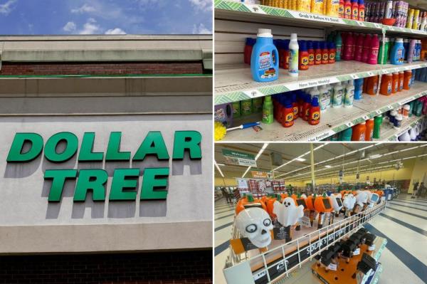 Dollar Tree股价在下调预期后下跌20%