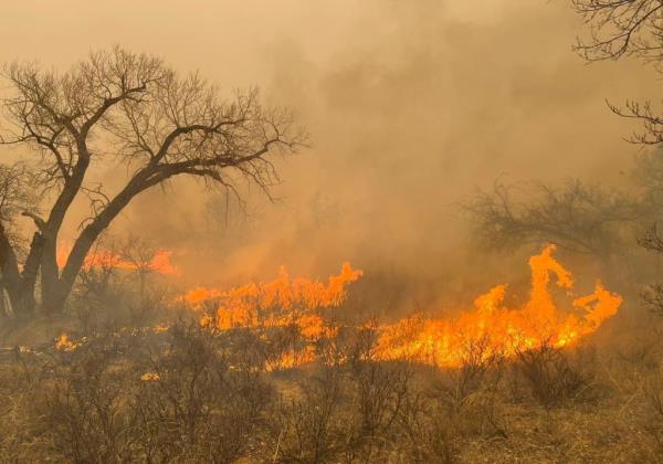 That fire claimed a life in Hutchinson County north of Amarillo, and dozens of structures were damaged after flames erupted Monday.