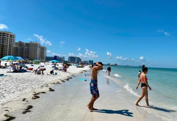According to Florida Health, the vibrio vulnificus bacterium's natural habitat is in warm, brackish seawater because it requires salt to live.